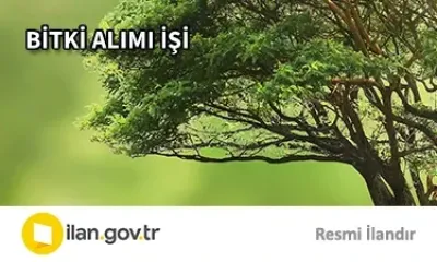 BİTKİ ALIMI İŞİ